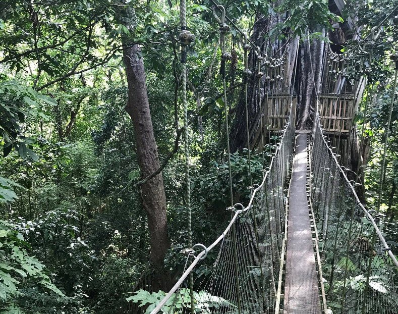 Falealupo Canopy Walkway, Falealupo, Savai’i, Samoa
